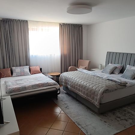 3 Bathrooms Apartman Mimi Lipótszentmiklós Kültér fotó